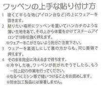 ～小物～ 2013-2014 プレミアリーグ 優勝 ワッペン 2枚 セット (マンチェスター・シティ用)_画像5