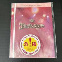 パンフレット☆裸の王様【2013年 ゴールデンボンバー 鬼龍院翔 喜矢武豊 歌広場淳 樽美酒研二 グッズ 写真集】_画像1