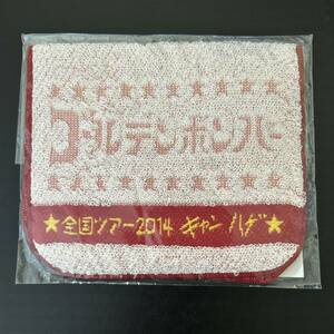 未使用品☆ポケットタオル② 鬼龍院翔【2014年 ゴールデンボンバー キャンハゲ ハンドタオル グッズ ガチャ 赤】