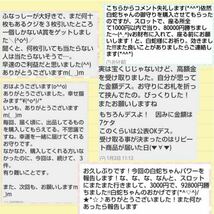 オリジナル 金運アップ 金運宝当 宝くじ 封筒 純金 白ヘビ しろへび 白蛇 お守り 開運 お札 お金 財布 抜け殻 衣 白虎 虎 寅 虹の衣まみか_画像8