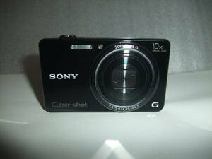 SONY DSC-WX100