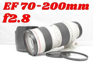 美品！感動の描写力！Canon EF 70-200mm f2.8 USM Lレンズ　キヤノン　望遠ズーム　キャノン　ケース付き　ナナニッパ