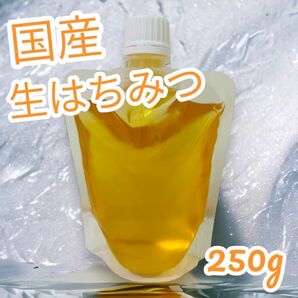 山口県産 国産天然生はちみつ250g