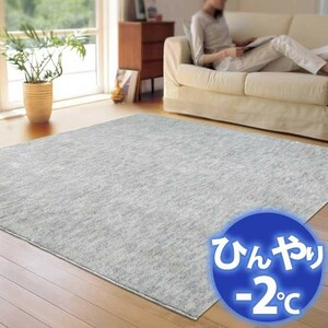 冷感ラグ(－２度) ひんやりカーペットで省エネ対策! AQUAラグ スーパークールストリム CA610390 190X240cm フロストシルバー