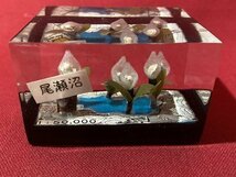 ｃ◆**　民芸品　尾瀬沼　水芭蕉　置物　飾り　おみやげ　紙箱付　箱サイズ約6×7.5×5㎝　重さ約180ｇ　/　B01上_画像1