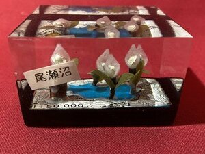 ｃ◆**　民芸品　尾瀬沼　水芭蕉　置物　飾り　おみやげ　紙箱付　箱サイズ約6×7.5×5㎝　重さ約180ｇ　/　B01上