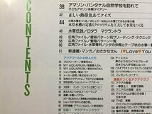 ｓ◆　1997年2月号　熱帯魚情報　アクアクラブ　VOL.8　熱帯魚の産卵パターンを探る　成美堂出版　書籍　雑誌　/ LS17_画像4