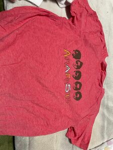 嵐フェス2013 ツアーTシャツ