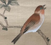 M　掛け軸　1点　年代物　花鳥　日本古美術　中国古美術　雀　美術品　骨董　12s-5123_画像5