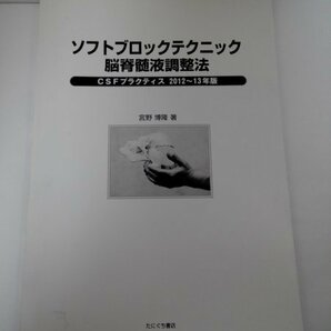 ソフトブロックテクニック 脳脊髄液調整法 CSFプラクティス2012~13年版 宮野博隆/たにぐち書店【即決・送料込】の画像1