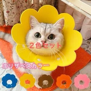 【最終値下】お花 エリザベスカラー2色セット