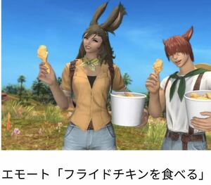 FF14 ケンタッキー シリアルコードのみ　kfc コラボ エモート ファイナルファンタジー フライドチキン 