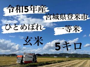 玄米　5キロ　令和5年産　ひとめぼれ　一等米　宮城県登米市中田町