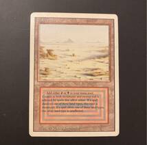 MTG Badlands Land 土地 マジックザギャザリング 1枚_画像1