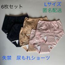 6枚組 Lサイズ 尿漏れパンツ 20cc 失禁ショーツ 軽失禁 安心ショーツ 女性用 失禁パンツ レディース 婦人用_画像1