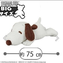 【1円～スタート】SNOOPY グランデぬいぐるみブラウンVer. 非売品 プライズ品 BIGサイズ_画像1