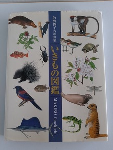 Art hand Auction ★ Frais de port inclus [Illustrated Living Things - The World of Makino Yonekichi] Makino Yonekichi Art Collection ★ Environ 1200 illustrations originales d'animaux et de plantes [Toho Publishing], Peinture, Livre d'art, Collection, Livre d'art