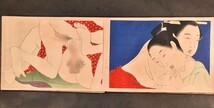 円山応挙春画帖 浮世絵 木版 春画 12図 和本 古文書_画像2