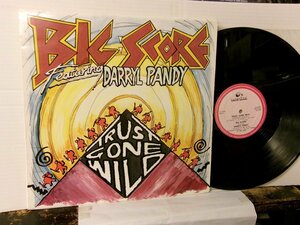 ▲12インチ BIG SCORE featuring DARRYL PANDY / TRUST GONE WILD ビッグ・スコア オランダ盤 RAMS HORN RHR 3812 ◇r60122