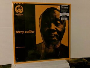 △LP TERRY CALLIER テリー・キャリア / HIDDEN CONVERSASIONS 輸入盤・新品・未使用品 MR BONGO MRBLP264 RSD2023限定盤◇r60127