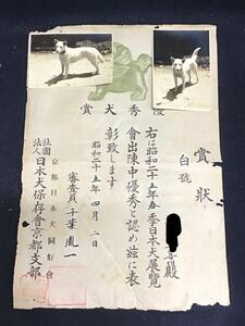 優秀犬賞　日本犬展覧會出陣中優秀　昭和二十年　日本犬保存會　京都日本犬同好会　賞状