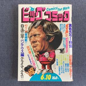 ビッグコミック 1976/6/10 昭和51年 最終回ペンテウス白土三平 読切リングの怪人田村信 とき矢口高雄トキ へい、お町望月三起也 石森章太郎