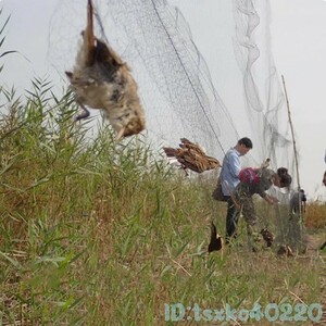 Eh2643: 鳥よけ ネット 動物 網 アウトドア 防鳥 畑 野菜 果物 庭 ガード 保護 カラス ハト スズメ 害虫駆除 鳥 トリ 3ｍ×15ｍ～6m 鳩 雀