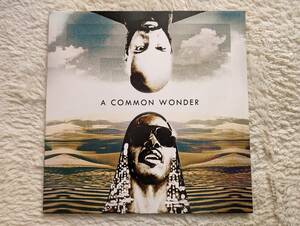 ☆MASH-UP名盤☆送料無料！AMERIGO GATHAWAY / A COMMON WONDER ☆STEVIE WONDER☆COMMON☆ERYKAH BADU 