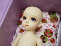 CUSTOM HOUSE Limited classic Ai Antique Doll clssic Uriel 　ドール本体　カスタムハウス_画像3