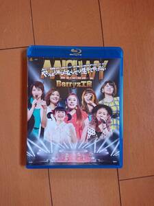 ■□Berryz工房 2013 「やっぱりあなたなしでは生きてゆけない」 Blu-ray 10周年記念 日本武道館□■