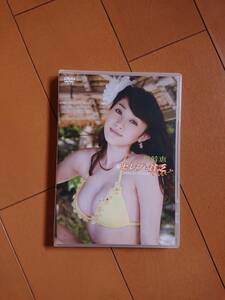 ◆◇原幹恵 「セレブと貧乏」 DVD◇◆