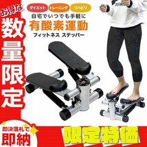 【限定セール】ミニステッパー メーター付き 耐荷重120kg 昇降運動 有酸素 フィットネス トレーニング エクササイズ 健康 ダイエット器具_画像1