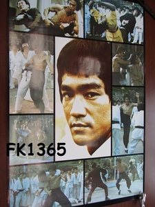 FK-1365当時物ポスター　1973　ブルースリー　ワーナー　穴なし