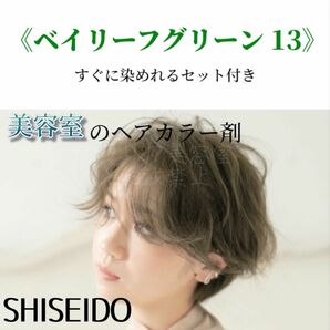 BG13 資生堂　ファッションカラー（おしゃれ染め）ショート　メンズヘア用　ヘアカラー　ベイリーフグリーン　11・9・7トーンあり