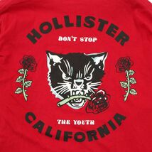 HOLLISTER ホリスター 通年 ねこ キャット プリント★ 長袖 カットソー ロンTシャツ Sz.XL　メンズ 大きいサイズ　A4T00183_1#F_画像6