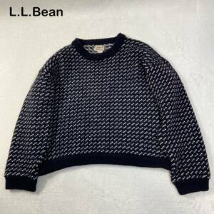90s ☆美品☆ L.L.Bean バーズアイニット　セーター　Lサイズ