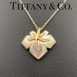 Tiffany&Co. ティファニー　ネイチャーリーフ ネックレス　SV925 K18