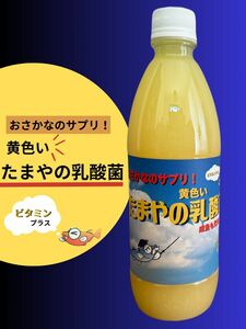 黄色いたまやの乳酸菌　500ml(1本)