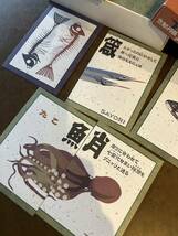 ★カルタ魚魚ととあわせ京都丹後カードゲーム新古品★_画像3
