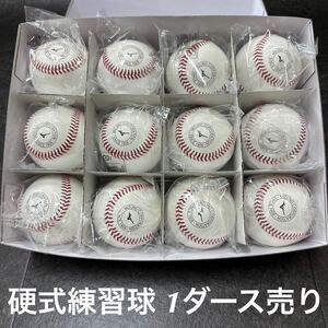 ミズノ　硬式練習球(NEW)　天然皮革製　1BJBH43600　1ダース売り