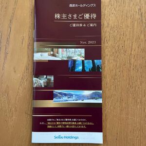 【送料無料】西武ホールディングス 株主優待冊子