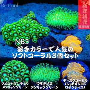 NB３派手カラーソフトコーラル３個セット（４～８ｃｍ前後）