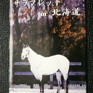 【最終出品】名馬ポストカード ナリタブライアン・マヤノトップガン・トウカイテイオー・メジロマックイーン・オグリキャップ 絵葉書の画像1