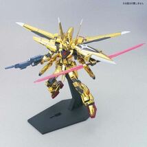 【1円】【未開封】HG 機動戦士ガンダムSEED DESTINY オオワシアカツキガンダム 1/144スケール 色分け済みプラモデル_画像3