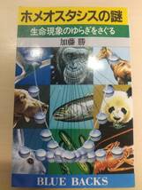 講談社ブルーバックスB694　ホメオスタシスの謎　生命現象のゆらぎをさぐる　［著］加藤 勝_画像1