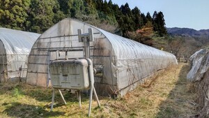  exclusive use exhibition ② Fukushima prefecture 5.4m×34.4mboila- attaching used plastic greenhouse dismantlement receipt is possible person Nepon house ka on kiHK-2025 Φ25.4