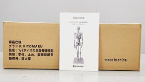 △【開封未使用】KIYOMARU 1/2サイズの全身骨格模型 同梱不可 1円スタート