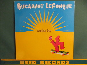 Buckshot Lefonque ： Another Day 12'' c/w Music Evolution DJ Premier Mix (( 落札5点で送料当方負担