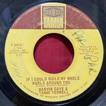 ◆USorg7”s!◆MARVIN GAYE & TAMMI TERRELL◆IF I COULD BUILD MY WHOLE WORLD AROUND YOU◆_画像1