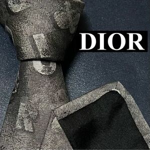 激レア Dior HOMME ディオールオム 極美品 メンズ ナロータイ ネクタイ シルク ソリッド 蜂 bee プレート シルバー 銀